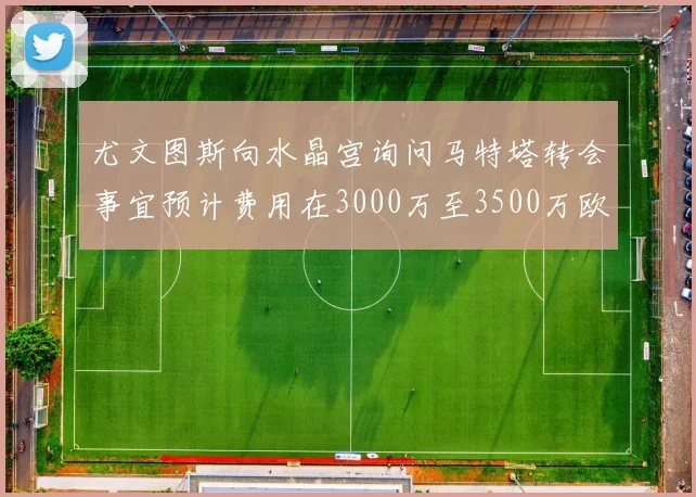 尤文图斯向水晶宫询问马特塔转会事宜预计费用在3000万至3500万欧元之间