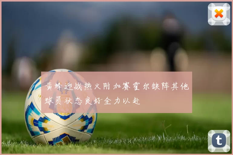 黄蜂迎战热火附加赛霍尔缺阵其他球员状态良好全力以赴