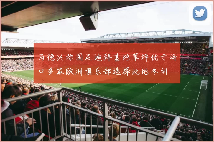 马德兴称国足迪拜基地草坪优于海口多家欧洲俱乐部选择此地冬训